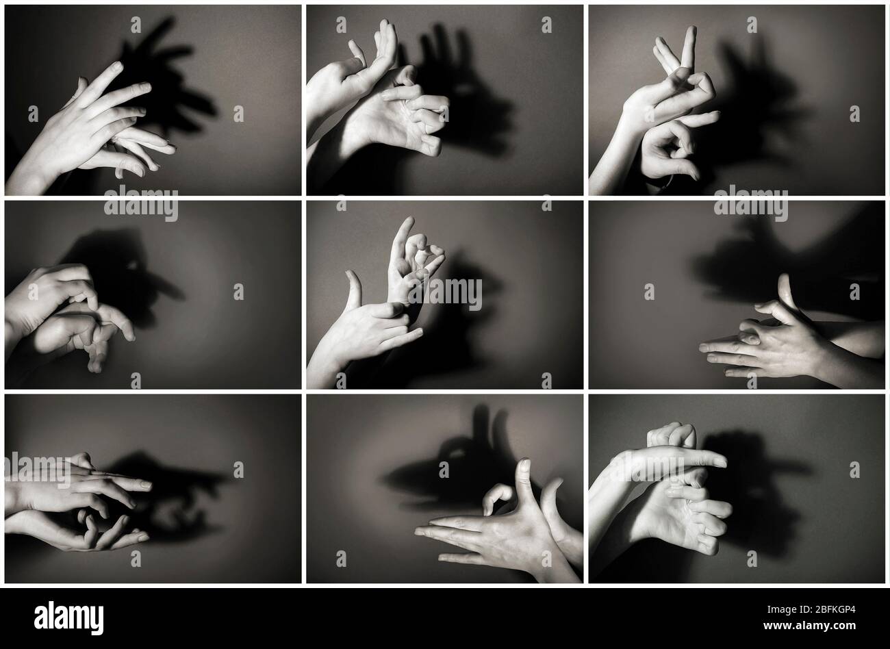 Hands gesture like different animals and figures on gray background Stock  Photo - Alamy