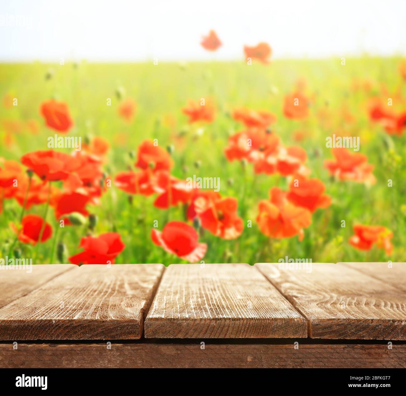 Wooden board on poppies field background Stock Photo