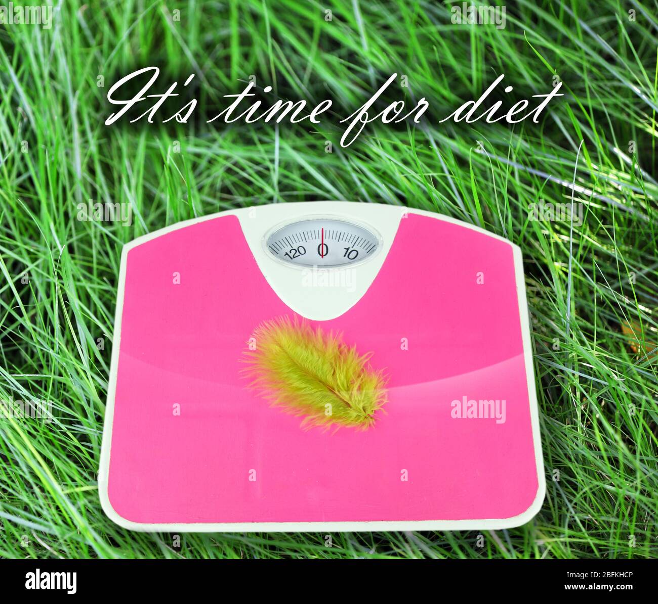 Feather on scales on green grass.  Losing weight for the summer Stock Photo