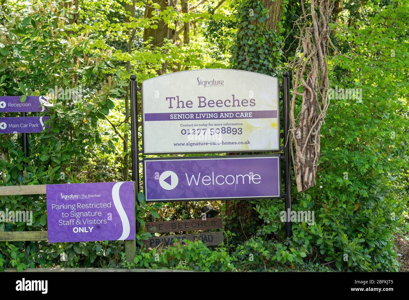 Care homes Brentwood Essex U, The beeches senior livning and care home, signage Stock Photo