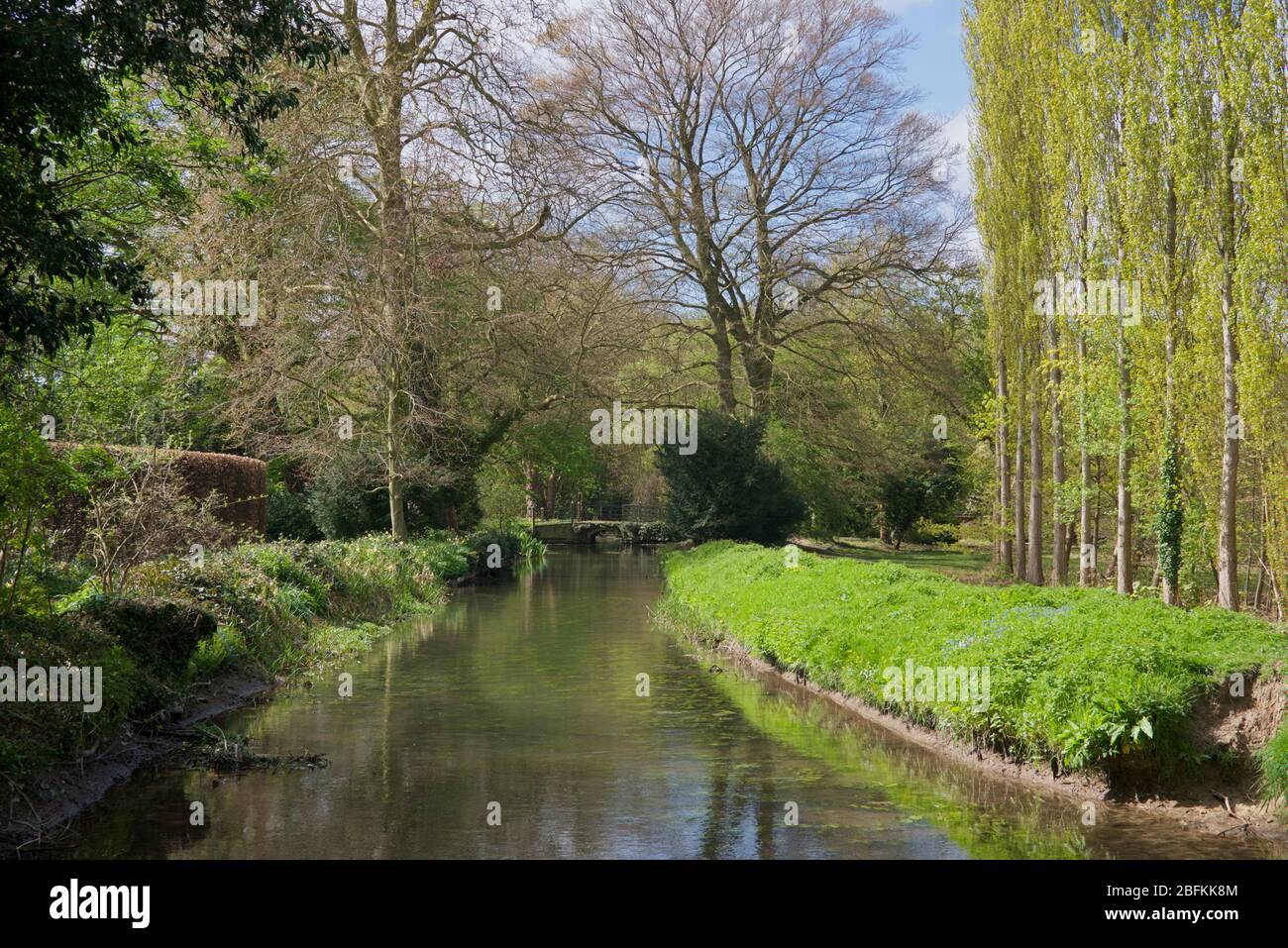 Canal Anglesey Abbey Cambridgeshire England Stock Photo
