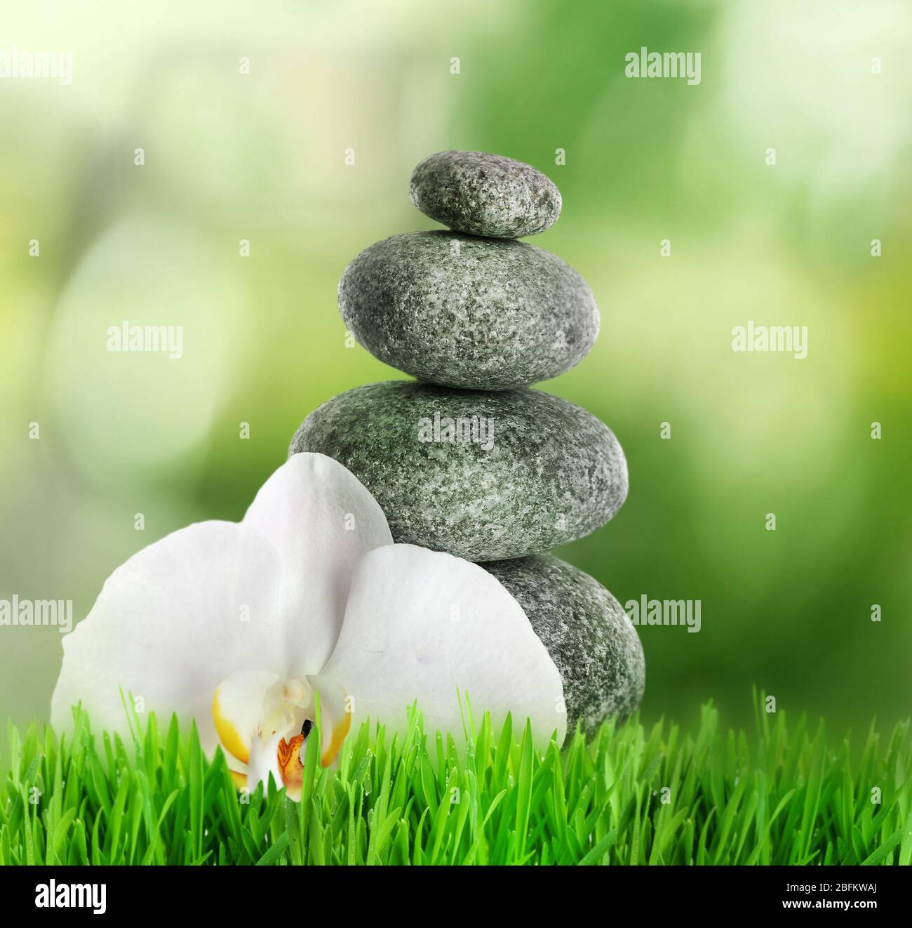 Spa Rocks Grass Spa stones on green grass, on nature background Stock Photo - Alamy