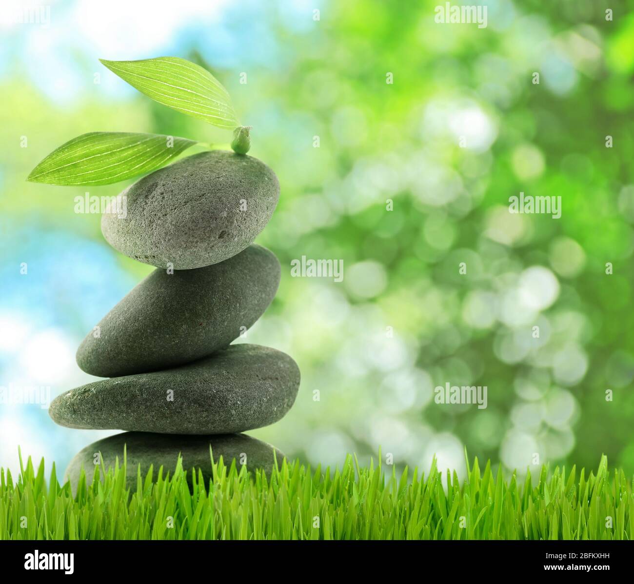 Spa Rocks Grass Spa stones on green grass, on nature background Stock Photo - Alamy