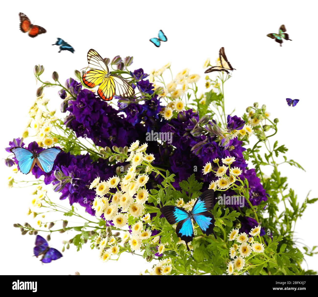 Beautiful wild flowers and flying butterflies on white background Stock ...