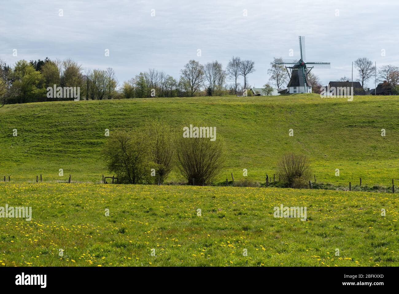 landscape of Angeln, Schleswig-Holstein, North Germany, Central Europe Stock Photo