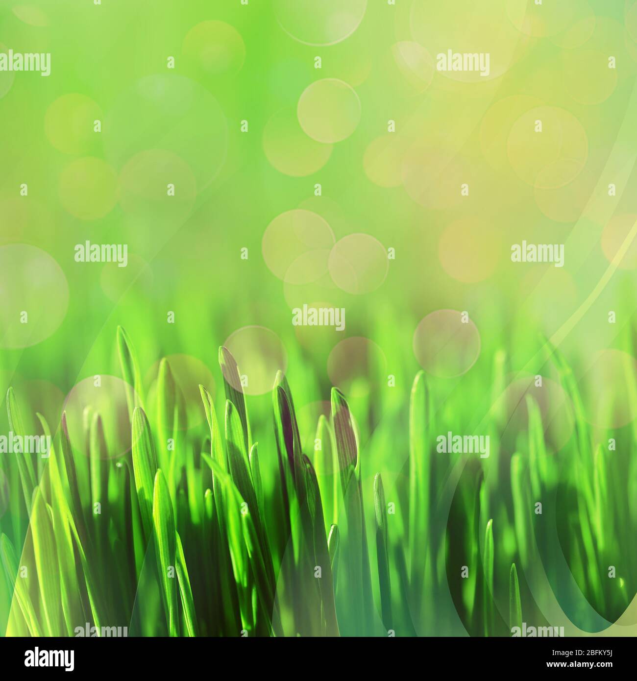 Green abstract nature background with sunlight Stock Photo - Alamy