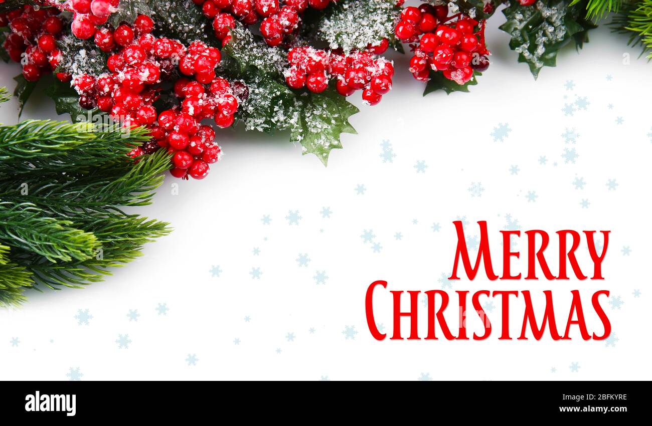 Christmas tree branch with red berries on white background Stock Photo ...