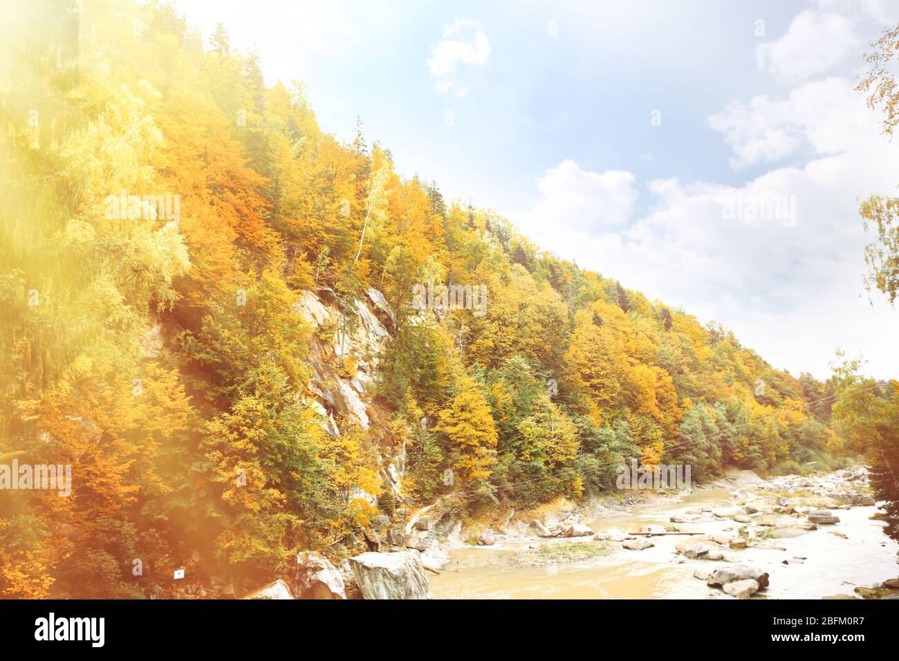 Mountain river flowing through forest Stock Photo - Alamy
