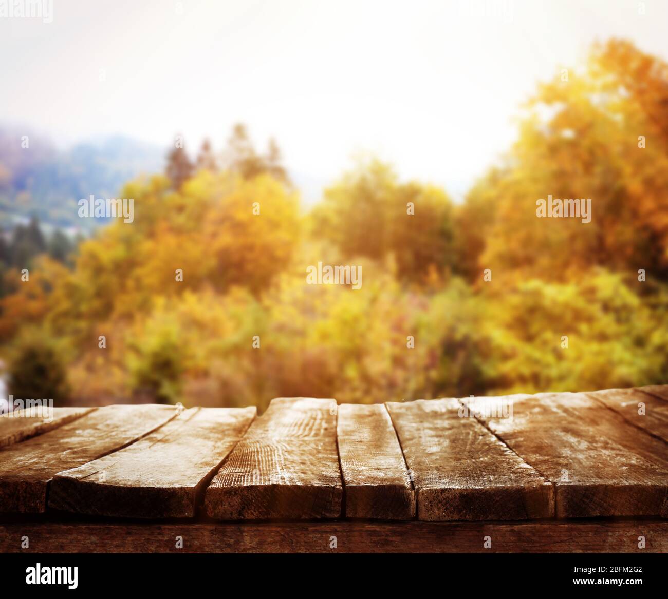Beautiful nature background with wooden floor Stock Photo - Alamy