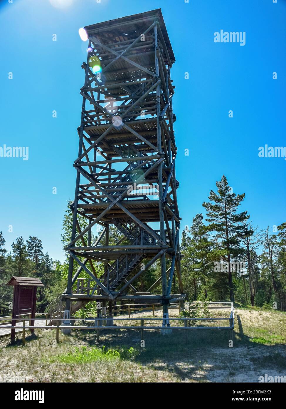 landscape with pine tree silhouettes in the forest and a wooden lookout tower at the top of the hill, blue sky Stock Photo
