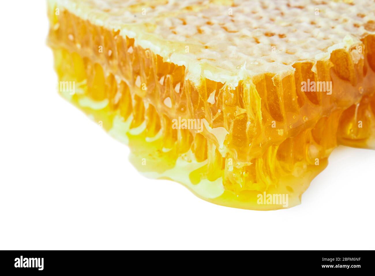 Bee honeycombs with honey closeup isolated on white Stock Photo