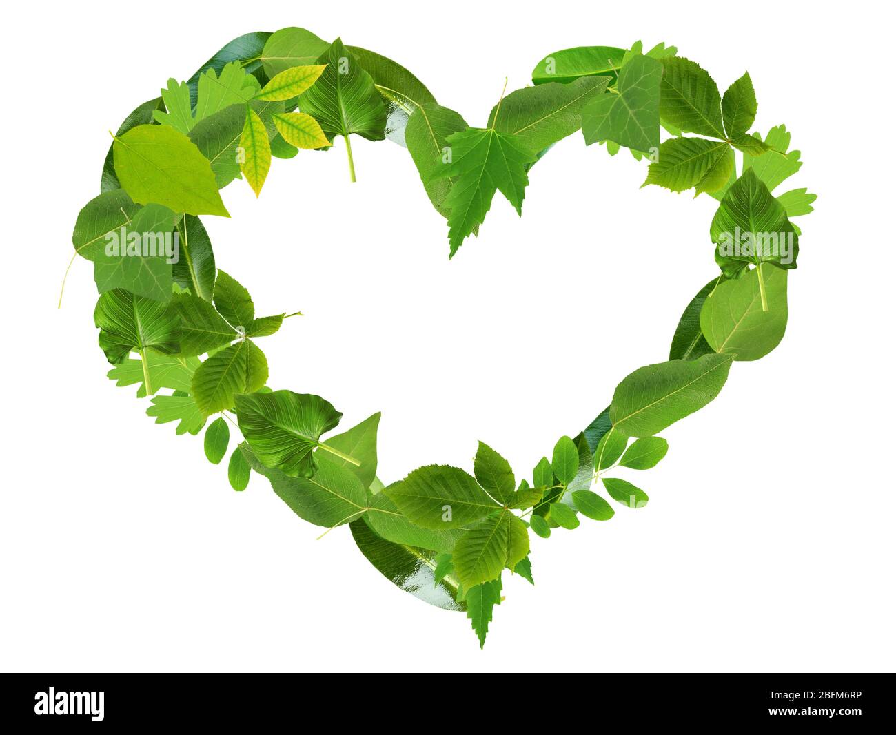 Heart of different green leaves, isolated on white Stock Photo - Alamy
