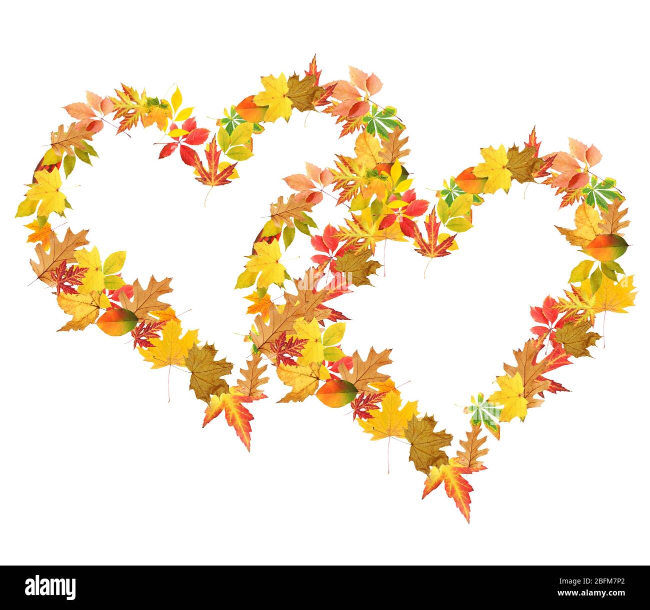 Hearts of different leaves, isolated on white Stock Photo - Alamy