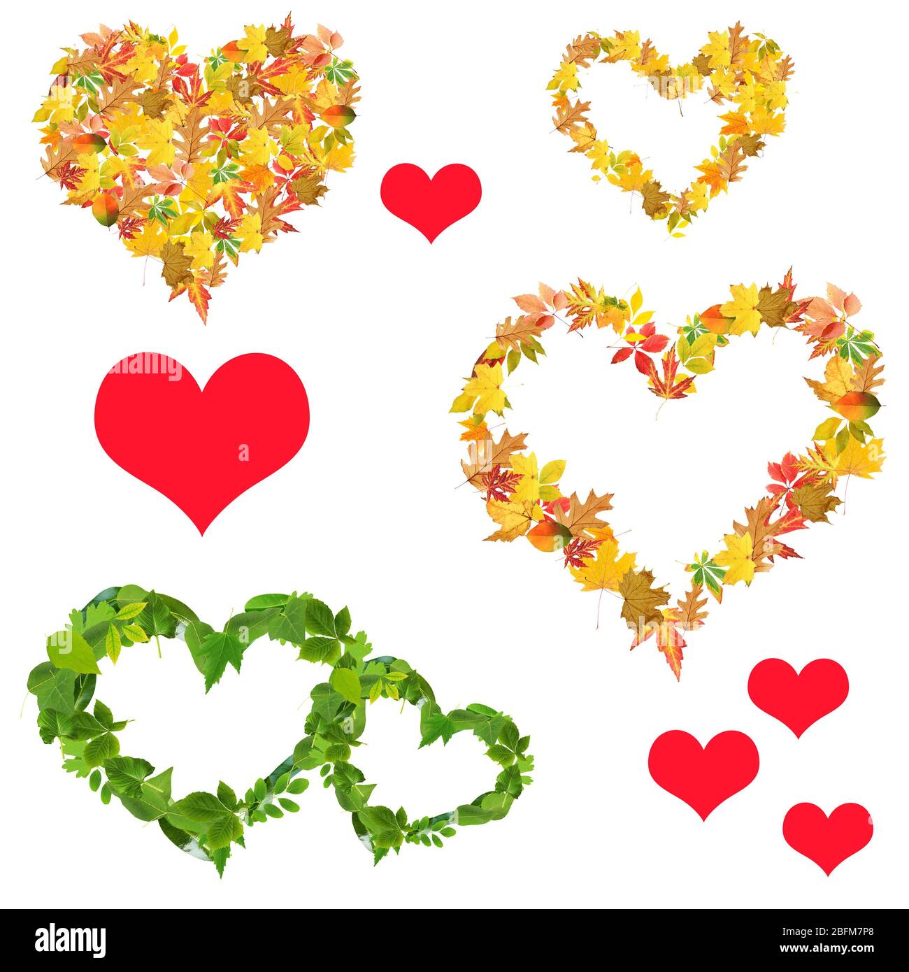Hearts of different leaves, isolated on white Stock Photo - Alamy