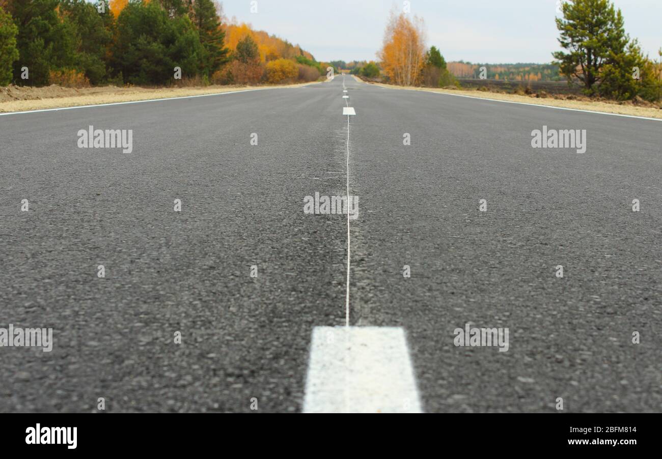 Asphalt road goes into the distance through the forest Stock Photo - Alamy