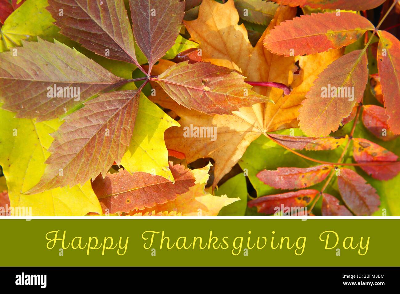 Autumn leaves background and text Happy Thanksgiving Day Stock Photo ...