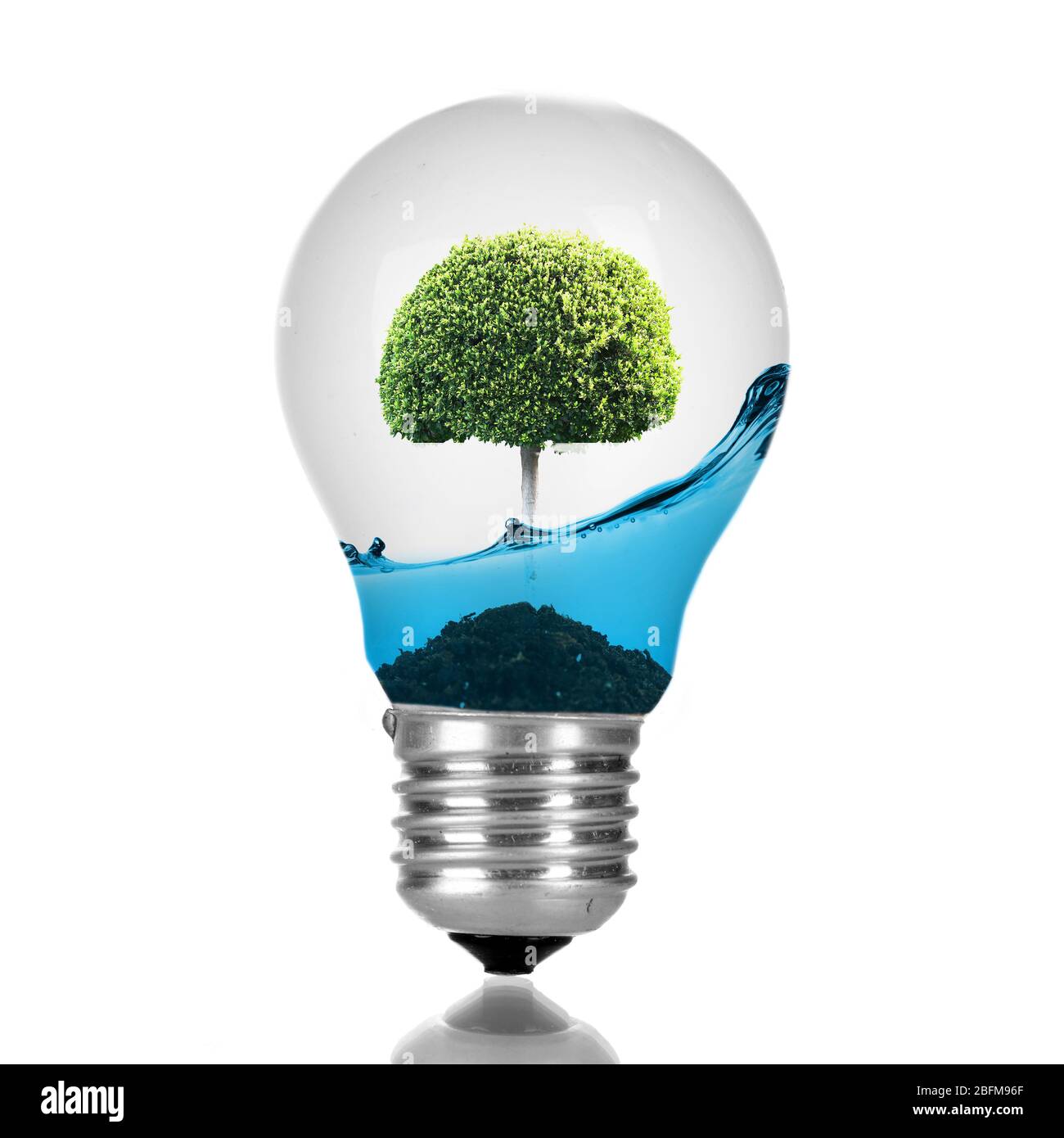 Green eco energy concept. Tree growing inside light bulb with water ...
