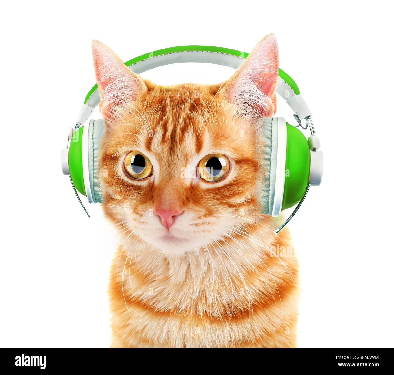Beautiful cat with headphones isolated on white Stock Photo - Alamy