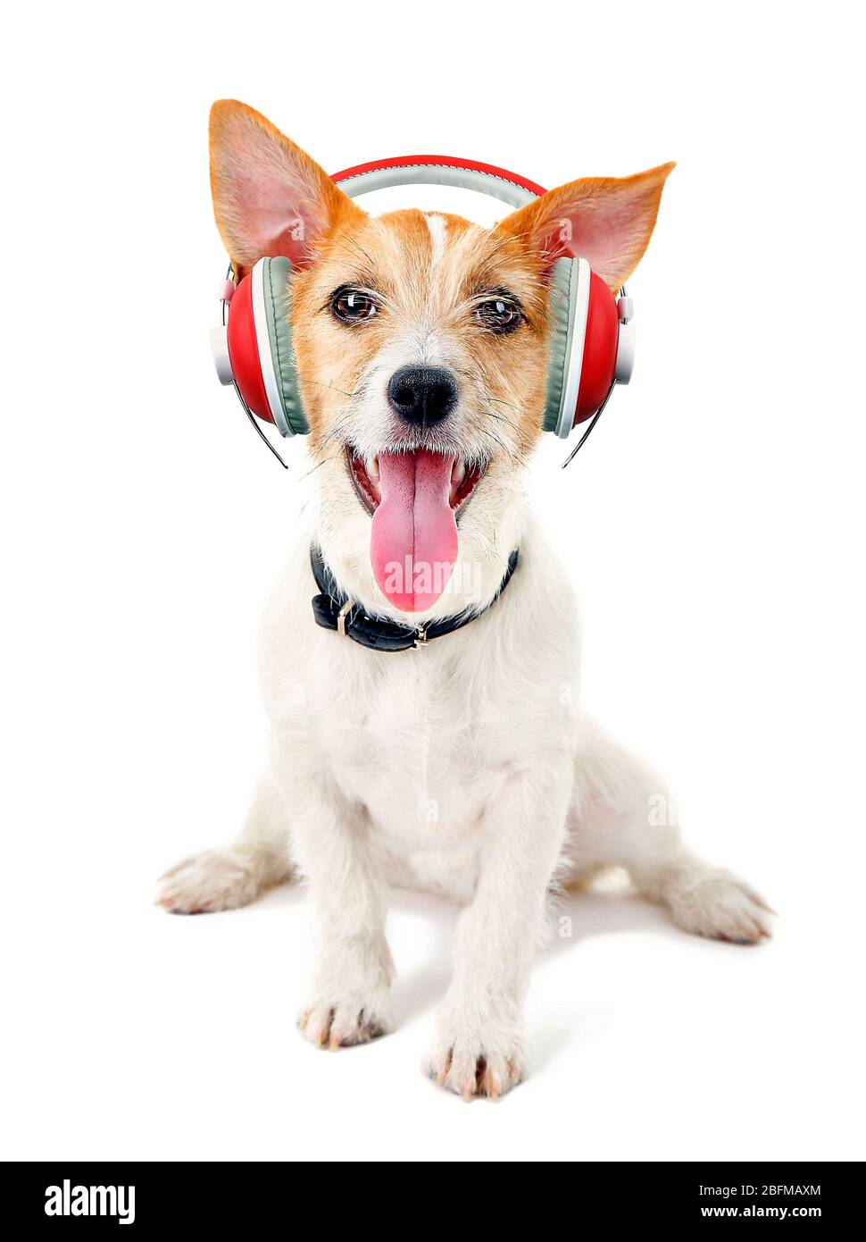 Cute dog with headphones isolated on white Stock Photo