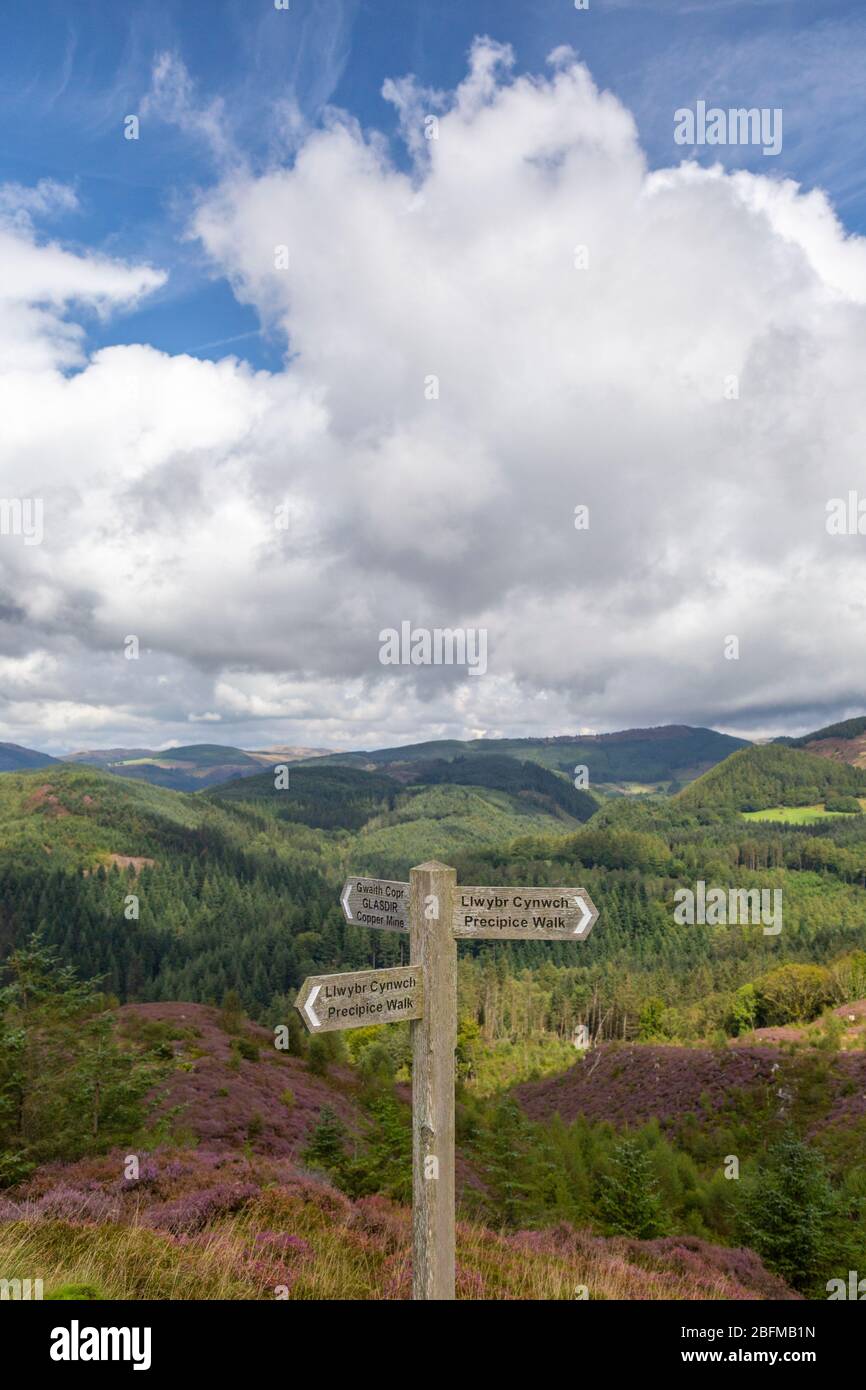 Countryside view with trail sign in the foreground, on The Precipice Walk (or Llwybr Cynwch) near Dolgellau, Wal Stock Photo