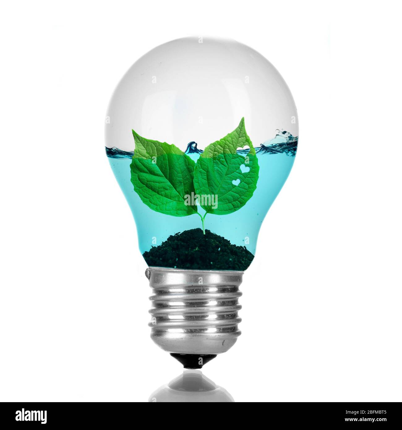 Green eco energy concept. Tree leaves growing inside light bulb with water,  isolated on white Stock Photo - Alamy