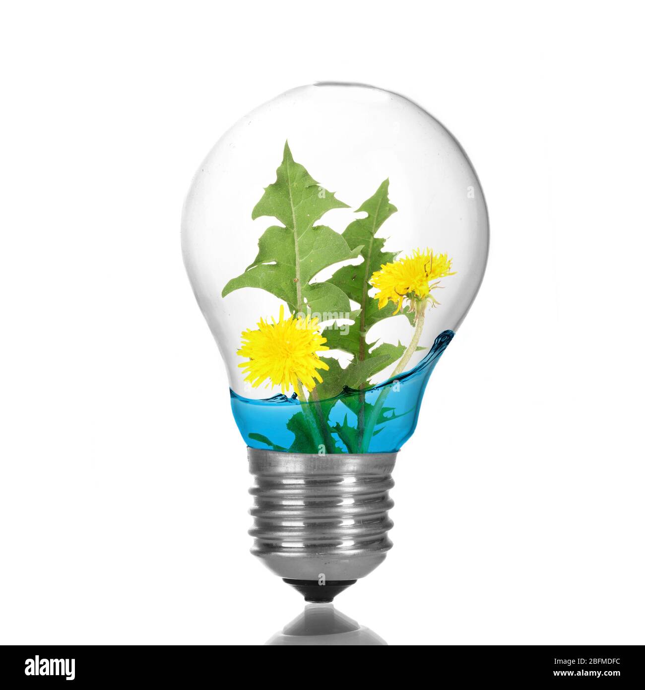 Green eco energy concept. Tree growing inside light bulb with water ...