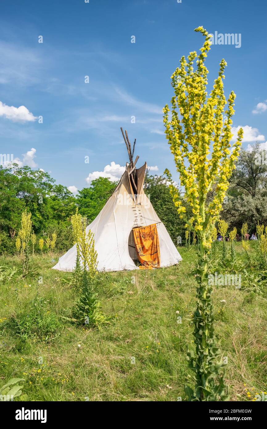 Single, solitary teepee in a forest.  Stock Photo