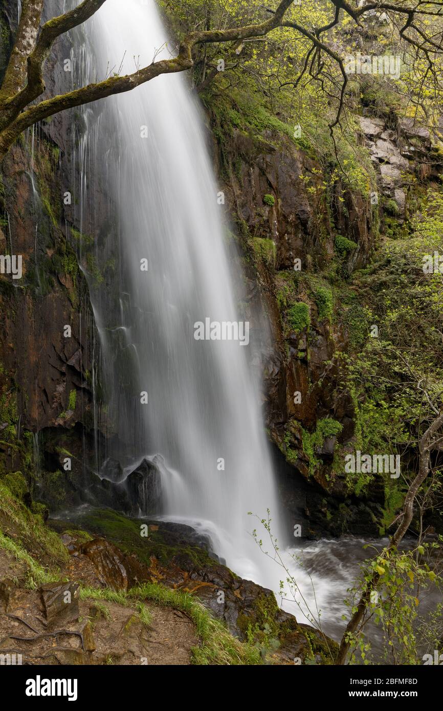 Access and environment of the Augacaida waterfall in Lugo, Galicia, Spain. Stock Photo