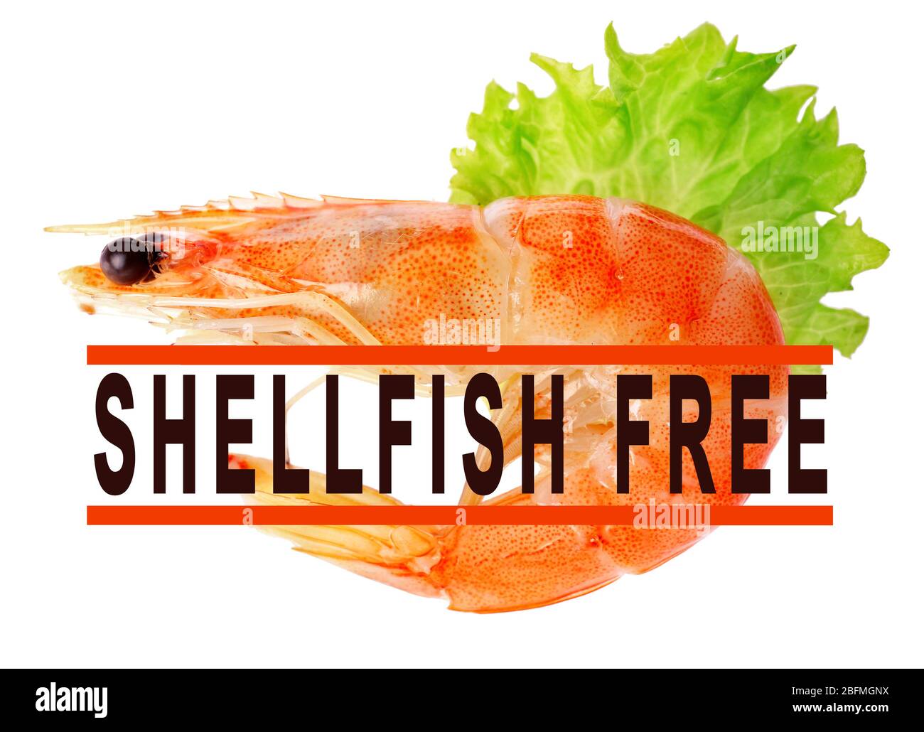 Boiled shrimp with lettuce and shellfish free sign isolated on white Stock Photo