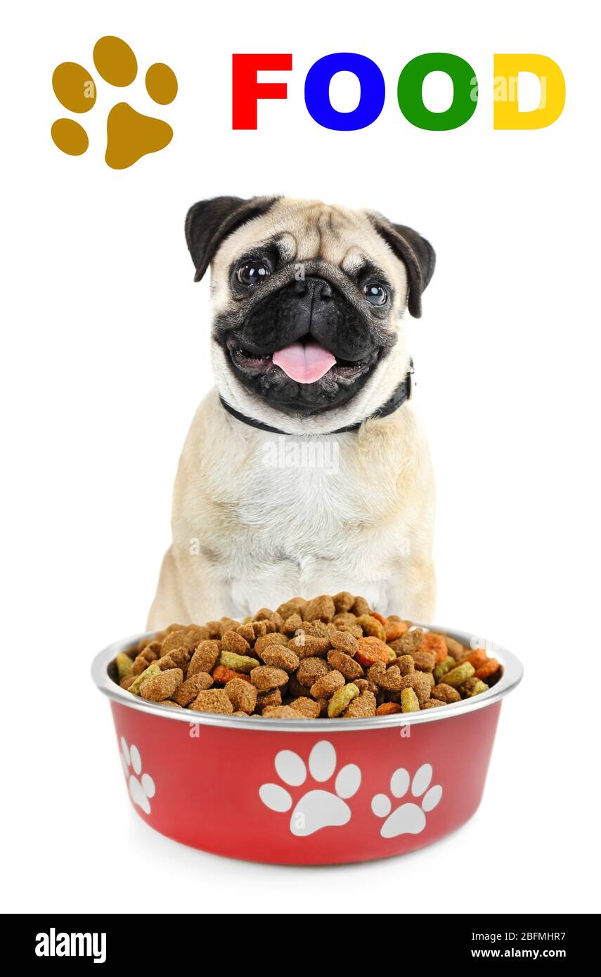 Hungry dog with bowl of tasty food, isolated on white Stock Photo Alamy