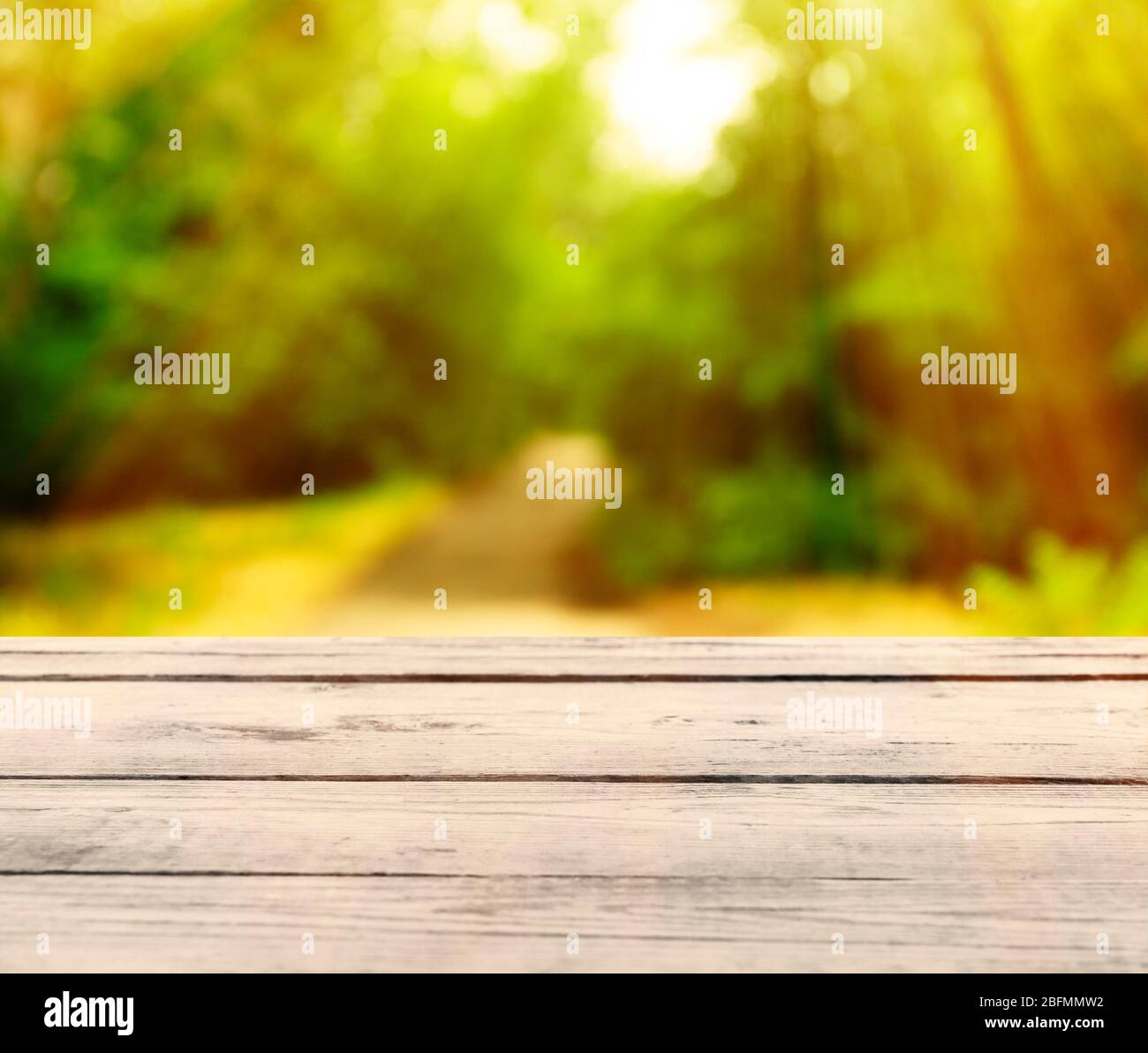 Empty botanic park summer sunny hi-res stock photography and images - Alamy