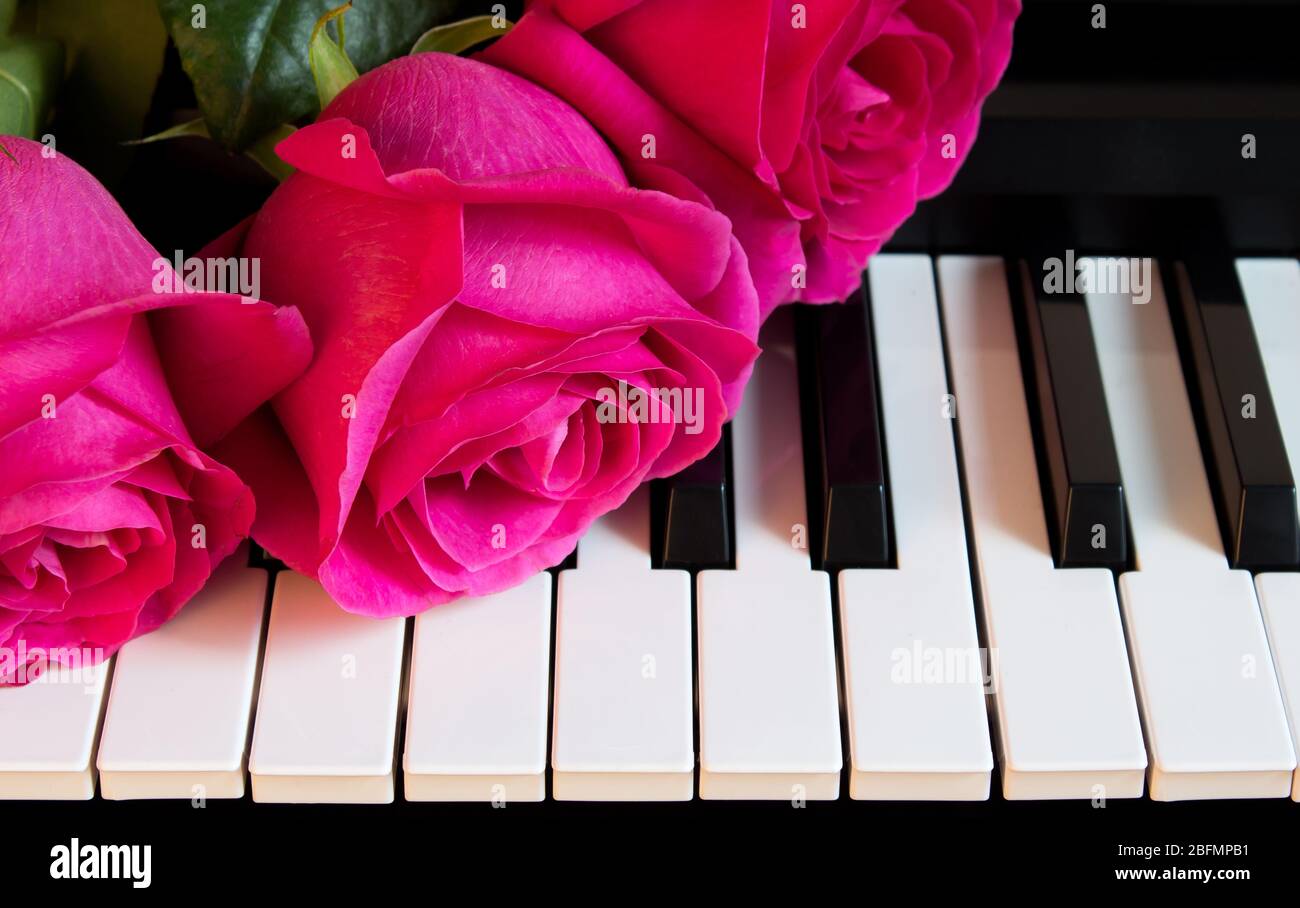 Bouquet of pink roses on the piano. Flowers on a musical instrument. Greeting card. International women's day, mother's day, romance, love, flowers Stock Photo