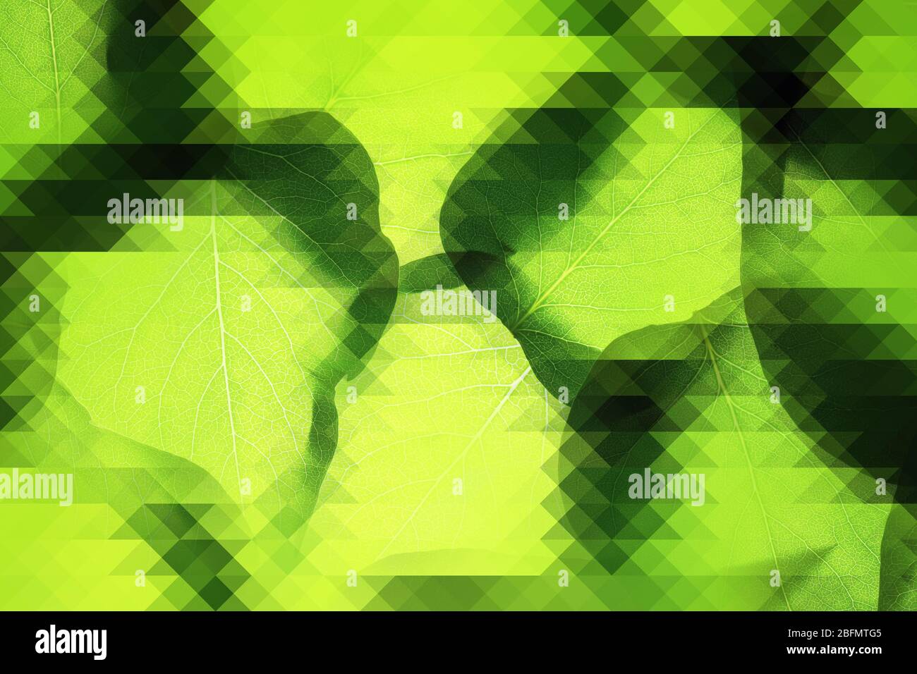 Beautiful spring leaves, abstract background Stock Photo - Alamy