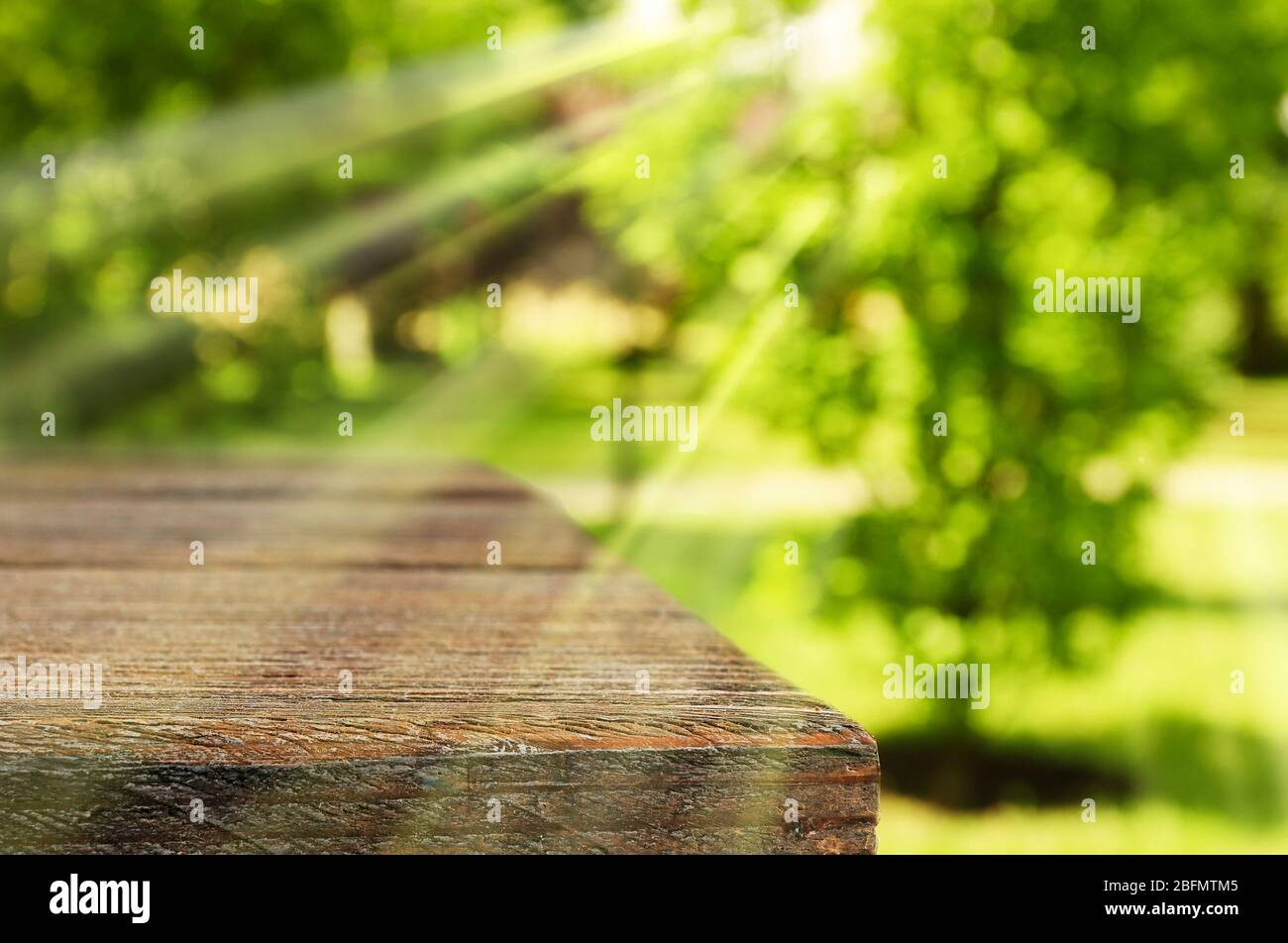 Empty botanic park summer sunny hi-res stock photography and images - Alamy