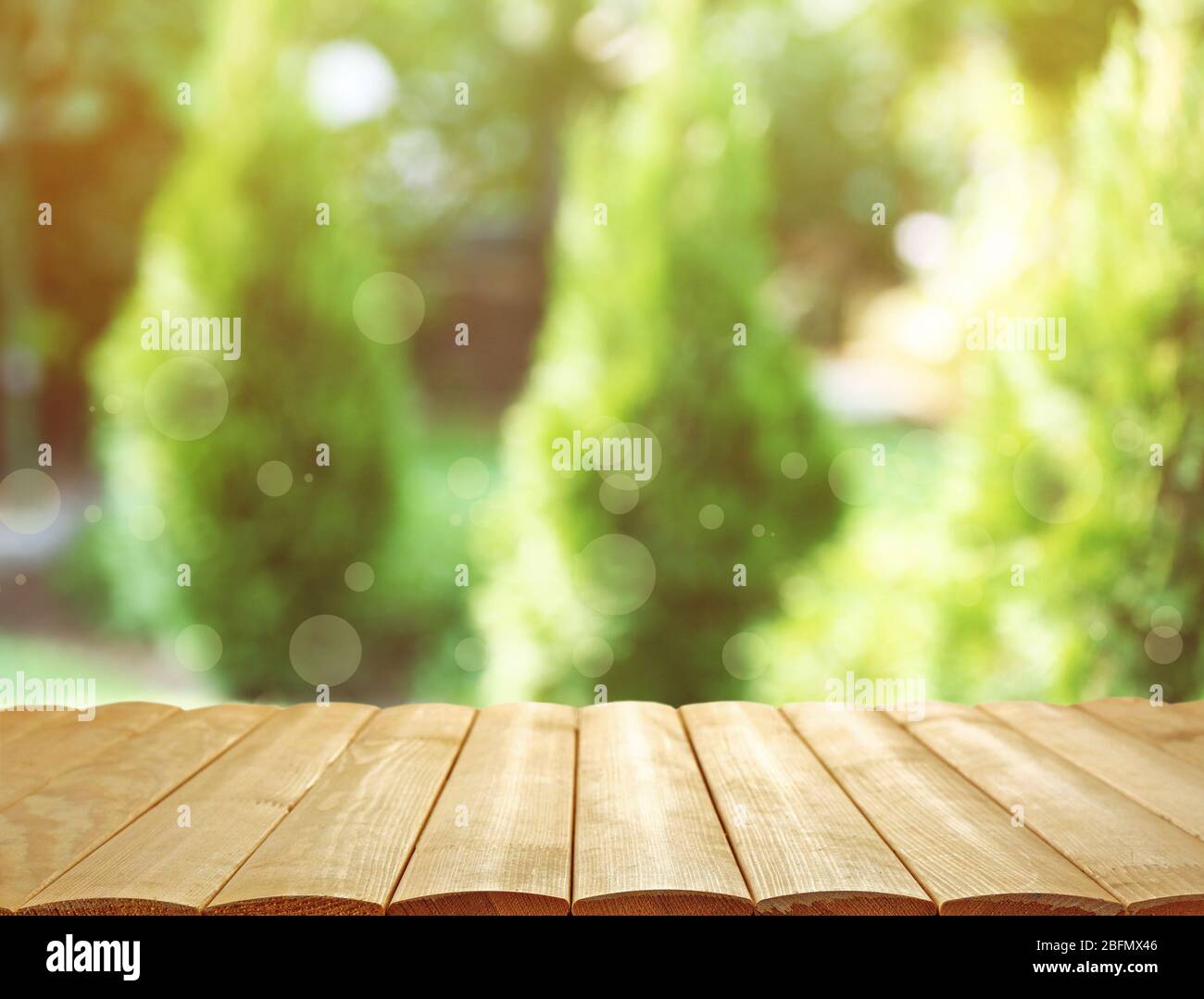 Empty botanic park summer sunny hi-res stock photography and images - Alamy