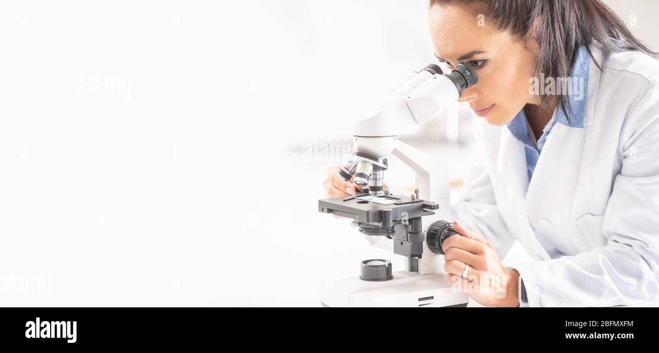A female laboratory researcher looks into a microscope covering right half of the picture. Coronavirus COVID-19 concept. Stock Photo