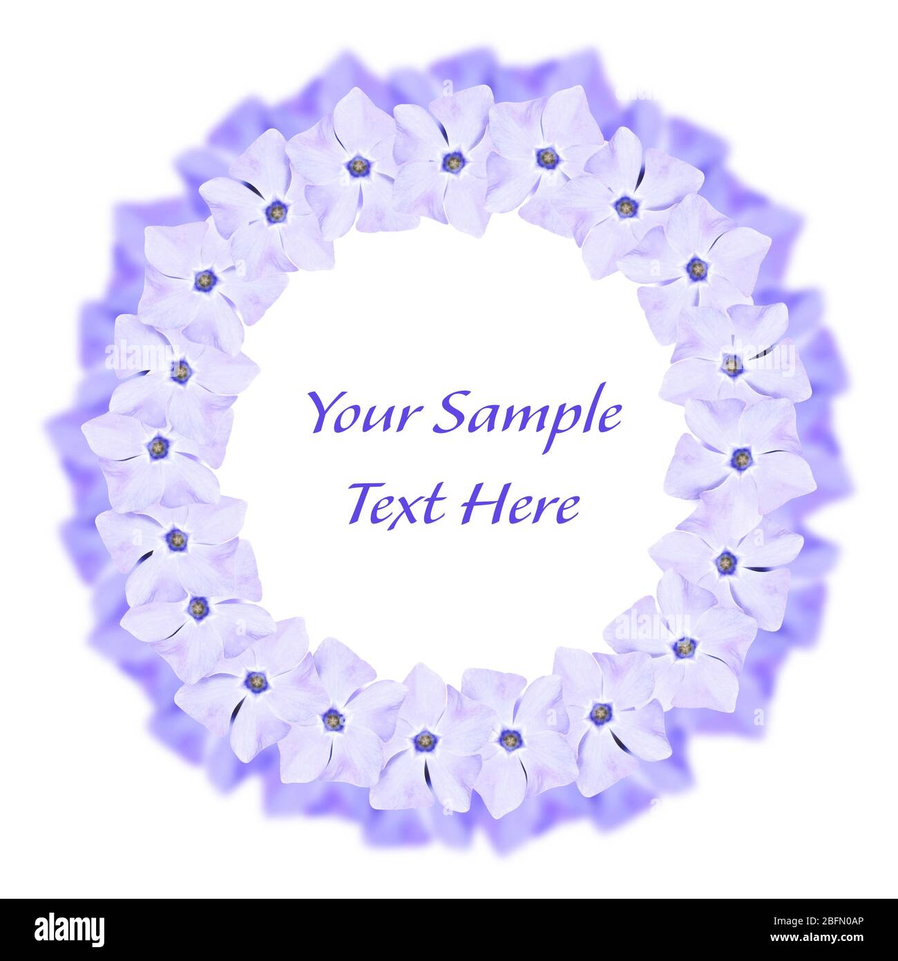 Spring concept. Spring flowers frame and text isolated on white Stock Photo