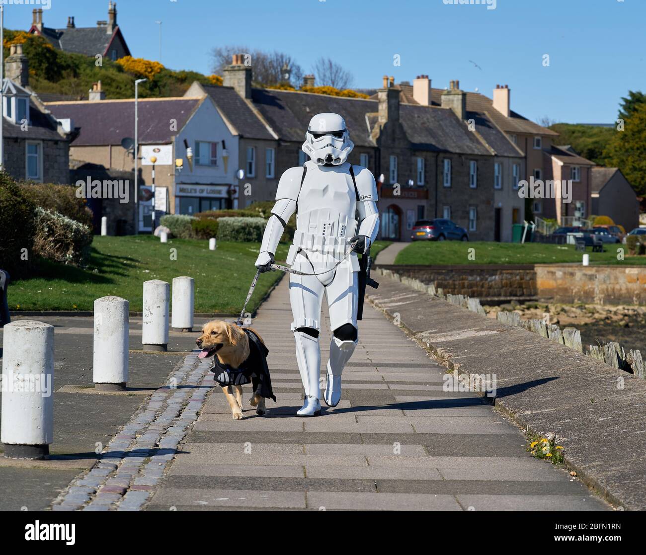 Lossiemouth, Moray, UK. 19th Apr, 2020. UK. This is Stormtrooper Bob Farmer from Lossiemouth walking his dog, Kumu. Credit: JASPERIMAGE/Alamy Live News Stock Photo
