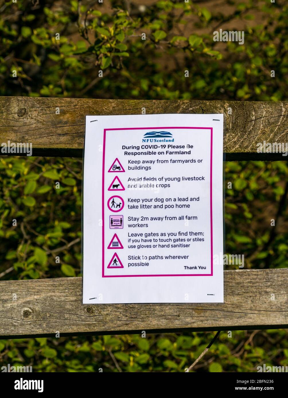 Notice pinned to fence from NFU about Covid-19 Coronavirus pandemic safety measures to keep safe and maintain social distancing, Scotland, UK Stock Photo