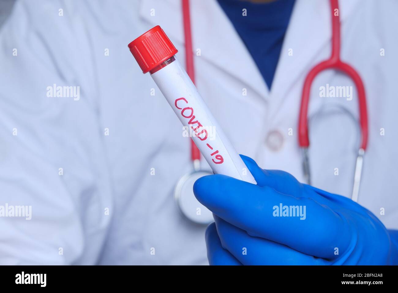 laboratory technician testing corona virus , COVID 19 test. Stock Photo