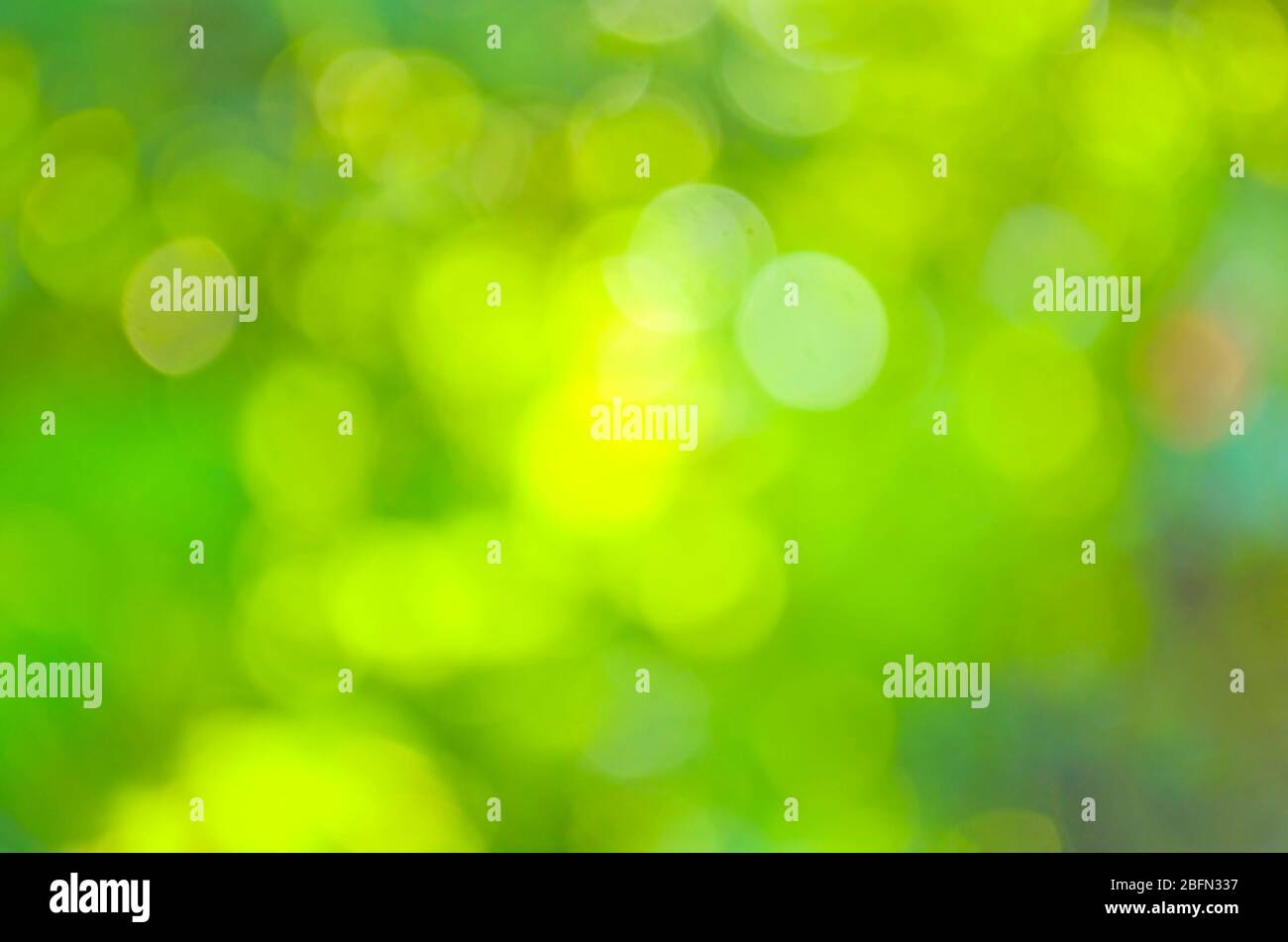 Abstract bokeh and blurred green nature background Stock Photo - Alamy