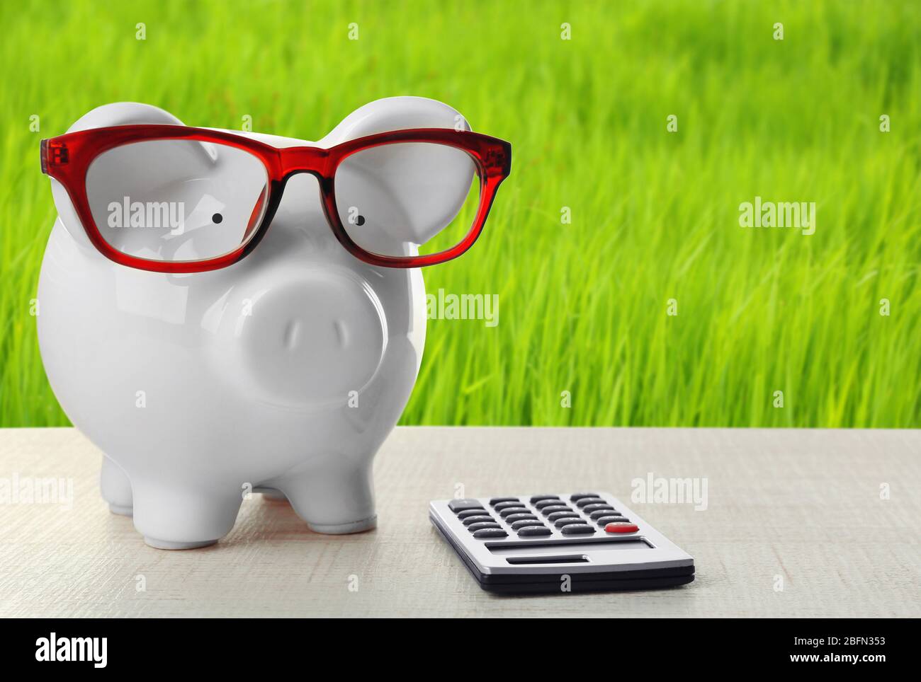 Piggy bank with glasses and calculator on green grass background Stock ...