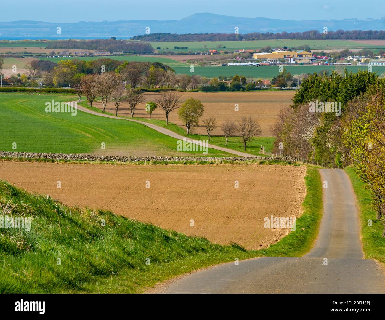 Long empty tree-lined country road leading downhill into the distance on sunny day, East Lothian, Scotland, UK Stock Photo