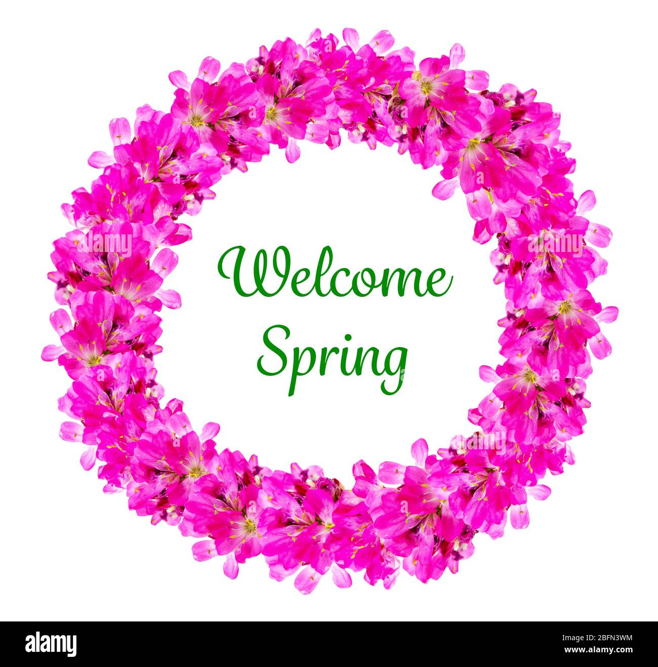 Spring concept. Spring flowers frame and text isolated on white Stock ...