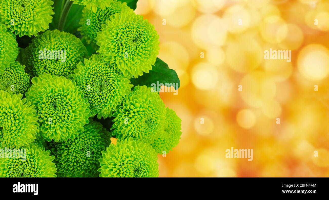 Floral background with beautiful flowers and lights Stock Photo - Alamy