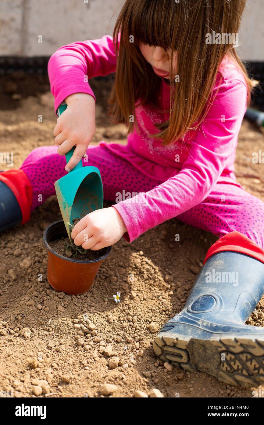 Little caucasian child girl, sitting in her garden, planting a plant in a pot with a scoop during covid-19 lockdown. Outdoor idea activity for childre Stock Photo