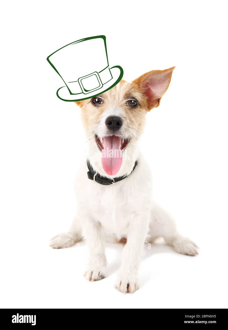Funny happy dog with St. Patrick's Day 