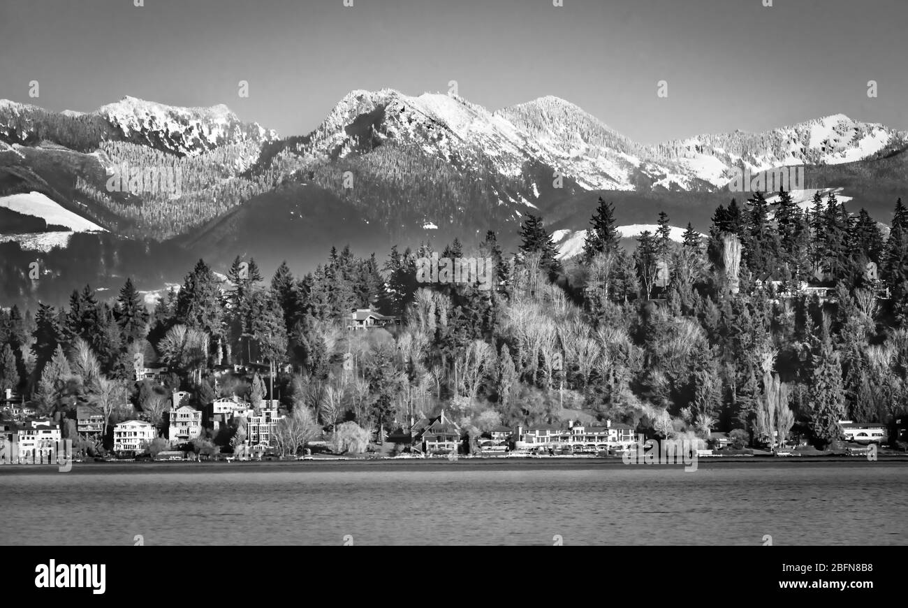Black and White Houses Residential Neighborhoods Lake Washington Snow