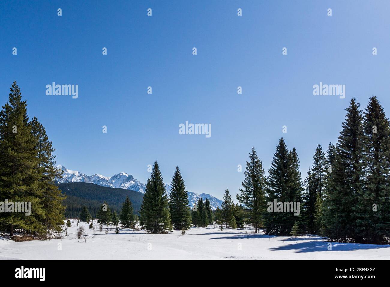Winter landscape large open space in snow mountain range Alberta Canada. Stock Photo