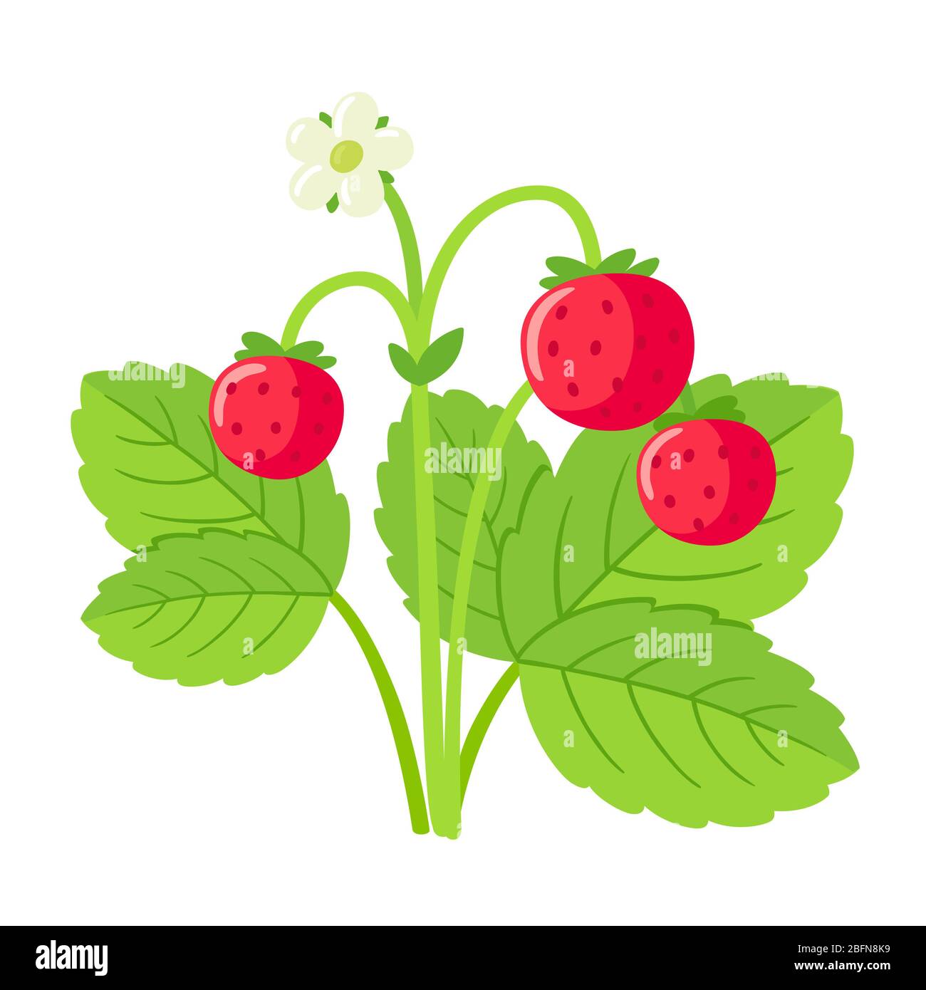 Strawberry Plant Vector Art, Icons, and Graphics for Free Download